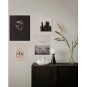 Pack de 4 tableaux Frida