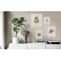 Pack tableaux Plants