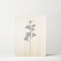 Tableau en bois Blue Plant I